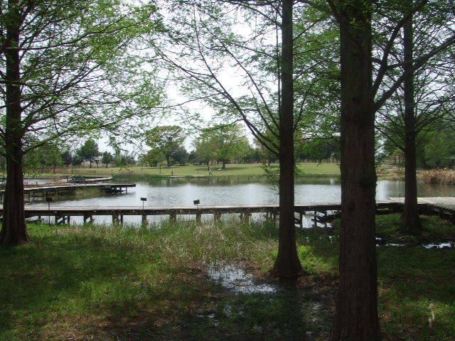 2009_04180040.JPG